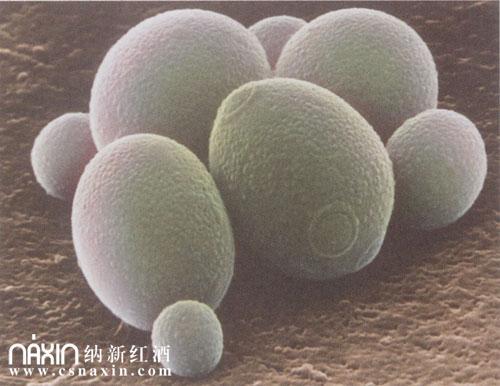 admin 第23页